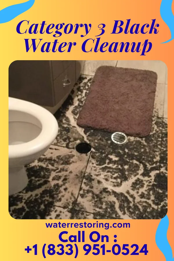 Category 3 Black Water Cleanup in Sunburg, MN