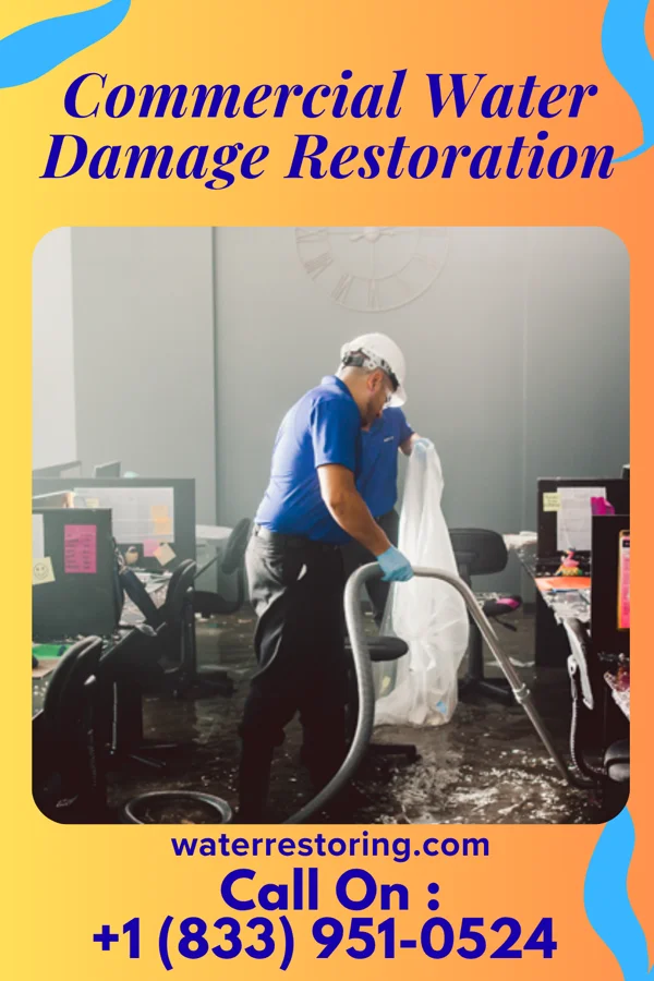 Commercial Water Damage Restoration in Sunburg, MN